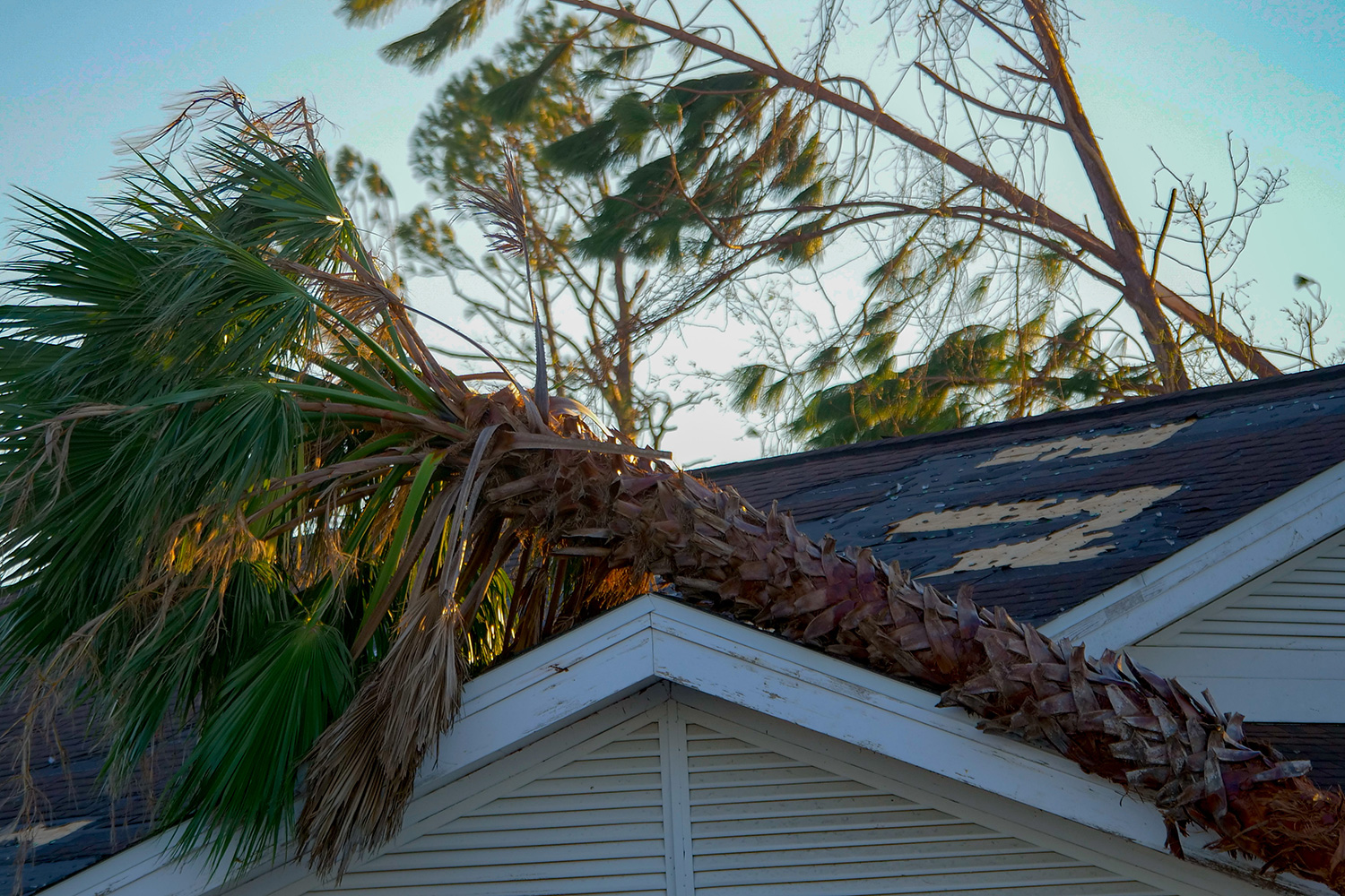 Storm Damage Repairs for Commercial Building Restoration